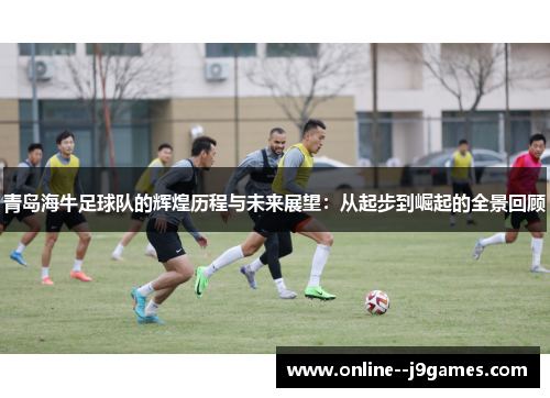 青岛海牛足球队的辉煌历程与未来展望:从起步到崛起的全景回顾 青岛海牛足球队的辉煌历程与未来展望:从起步到崛起的全景回顾